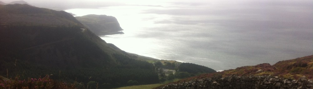 Dweud fy nweud  II Having my say